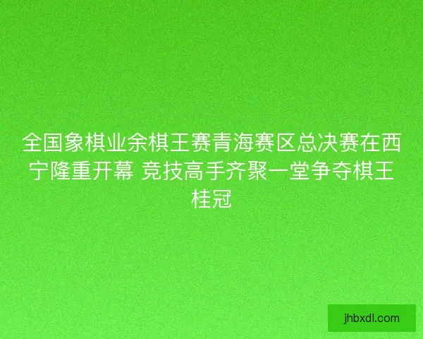 全国象棋业余棋王赛青海赛区总决赛在西宁隆重开幕 竞技高手齐聚一堂争夺棋王桂冠 全国象棋业余棋王赛青海赛区总决赛在西宁隆重开幕 竞技高手齐聚一堂争夺棋王桂冠